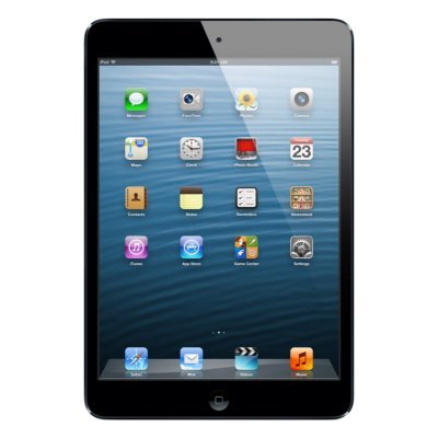 iPad mini Wi-Fi 16GB - Black
