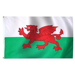 Wales Flag 3ft x 5ft Superknit polyester