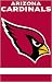 Arizona Cardinals - Applique Banner 44