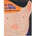 A Pig Is Big