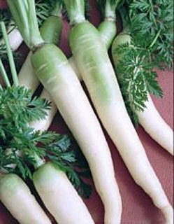 Cover image : Carrot Lunar White Asian Seeds 2000 Seeds