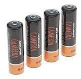 Olympus B01 4PE NI-MH Battery for D Series Digital Cameras
