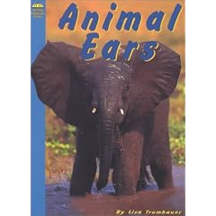 Animal Ears