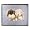 Pekingese