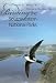 Birding the Southwestern National Parks (W. L. Moody Jr. Natural History Series)