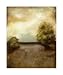 Summer Harvest II - Jennifer Goldberger Art Print Poster 24 x 30