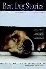 Best Dog Stories