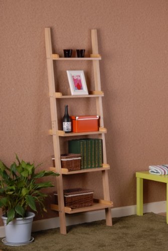 etagere murale echelle
