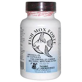 amoxil amoxicillin amoxil amoxicillin