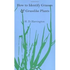 How To Identify Grasses: And Grasslike Plants