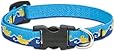LupinePet 1/2-Inch Just Ducky 10-16-Inch Adjustable Dog Collar for Small Dogs