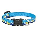LupinePet 1/2-Inch Just Ducky 10-16-Inch Adjustable Dog Collar for Small Dogs