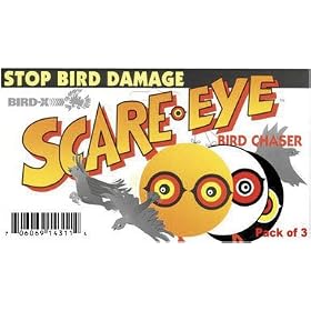 Bird-X SE-PAC Scare Eye Balloon, 3-Pack by Bird-X