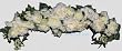46" XL Cream Roses Silk Swag