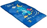Care Bears Slumber Bag