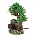 41ZK6lgN00L. SL75  Bonsai Artificial Tree
