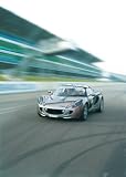 Lotus Driving Session
