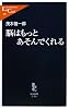 脳はもっとあそんでくれる (中公新書ラクレ)
