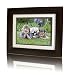 HP 8-inch Digital Picture Frame...
