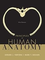 Principles of Human Anatomy