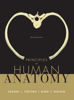 Childrens Toyshop  Books : Principles of Human Anatomy