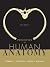 Principles of human anatomy