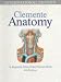Anatomy Hb