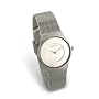 Skagen Women's Silver Tone Mesh Watch #233SSS