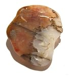 Agate Pendant 15 Stone Red Orange White Slab Bolo Crystal Healing 2