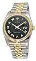 Rolex Oyster Perpetual Datejust Mens Watch 116233-BKJRJ