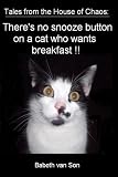 41ZKk6zP9fL. SL160  ? ??????????????????? (The cat which eats a melon)