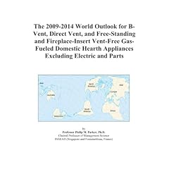 The 2009-2014 World Outlook for B-Vent, Direct Vent, and Free-Standing and Fireplace-Insert Vent-Free Gas-Fueled Domestic Hearth Appliances Excluding Electric and Parts