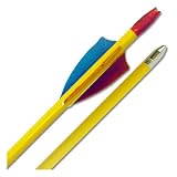 Standard 144 Cedar Wood Archery Arrows