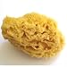 Natural Wool Sea Sponge - Luxurious, Traditional & most popular - 4