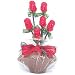 Chocolate Roses