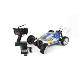 ZDR9006 ZRE-1 Brushless 1 8 Scale 4WD RTR Radio Control Buggy by ZD Racing by ZD Racing