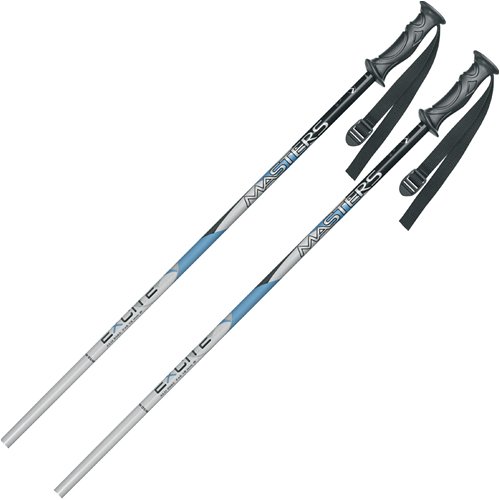 Buy Alpina Masters Excite Adult Ski Poles by Alpina Sports