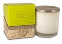 ILLUME Pineapple Cilantro Natural Wax Candle