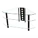 Walker Edison Bermuda 44-Inch Corner TV Stand, Clear/Black Image