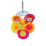 Brainy Bird Whirligig Series Wavy Rings Bird Toy