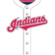 Cleveland Indians MLB Book Cover