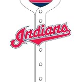 Cleveland Indians MLB Book Cover
