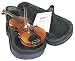 Half-Scale Violin with Case