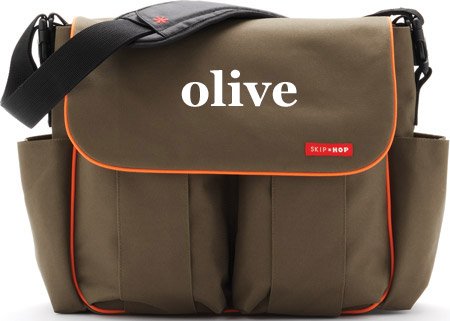 Skip Hop Duo Deluxe Diaper Bag