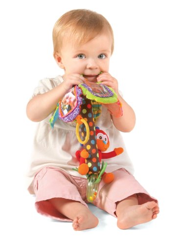 Childrens Toyshop  Toys : Infantino Family Tree Activity Toy