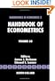 Handbook of Econometrics, Volume 6A