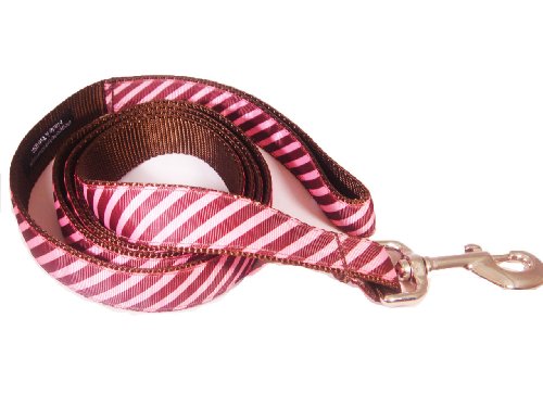 Large Rose/Brown Stripes Dog Leash - Nylon Webbing: 1