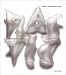 Plastic (Materials)