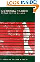 A Derrida Reader: Between the Blinds