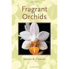 Fragrant Orchids